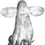 Go to this species on the OneZoom tree of life