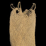 Image of Piper betle