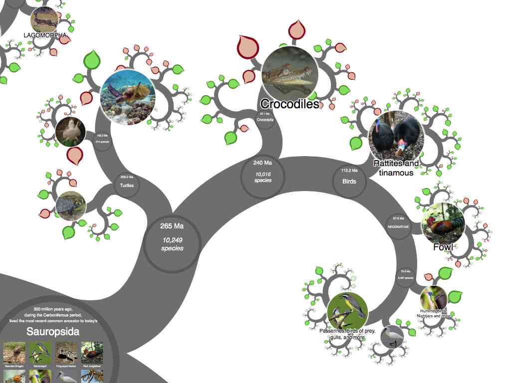 Interactive Taxonomy Chart